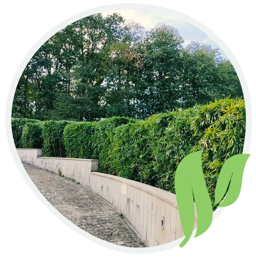 AFJ Paysages : entretien de jardin près d'Étampes, Étréchy & Dourdan (91)